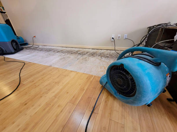 Professional Water Damage Repair technician working in Strasburg, PA